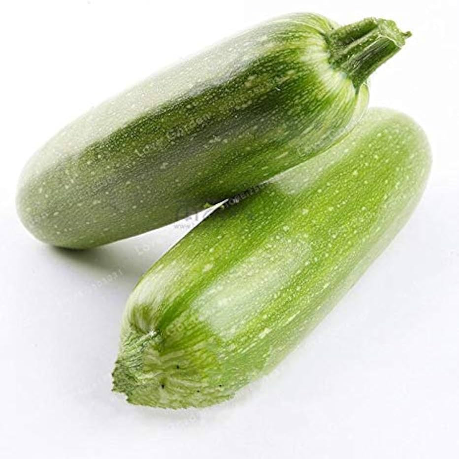 Squash Mexican