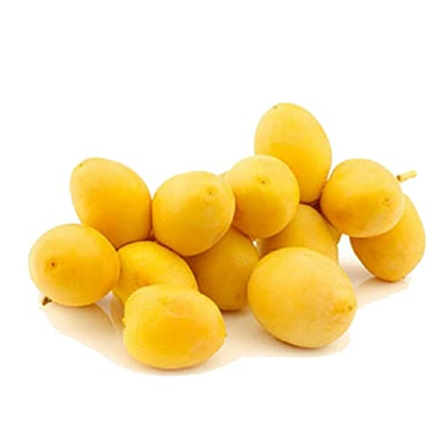 Fresh Dates Yellow