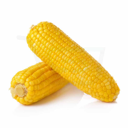 Corn On The Cob