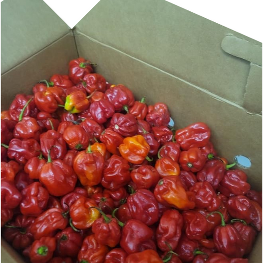 Habanero Red