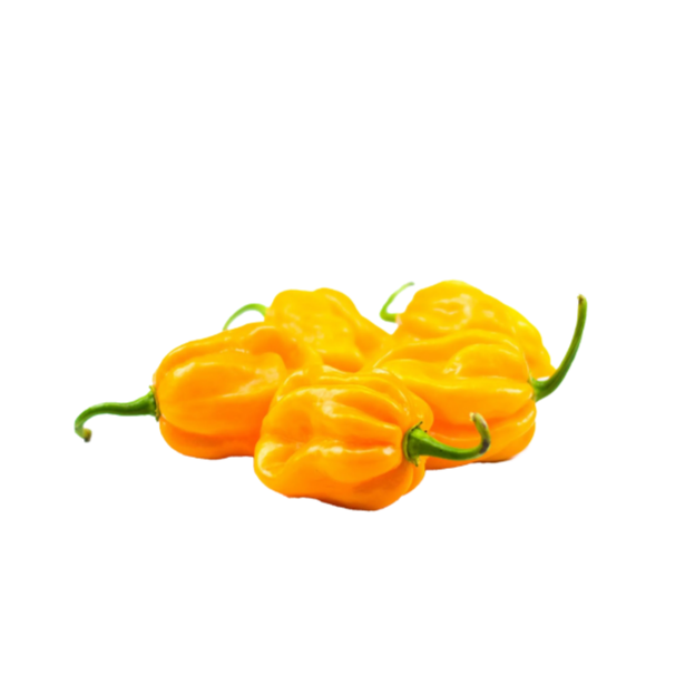 Habanero Orange