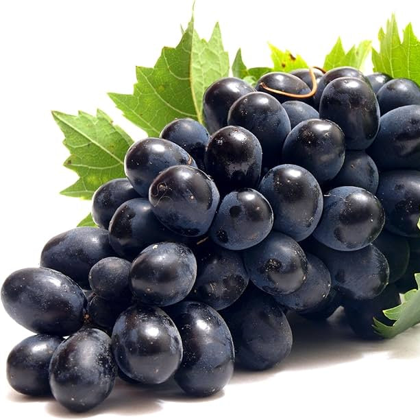 Black Seedless Grapes