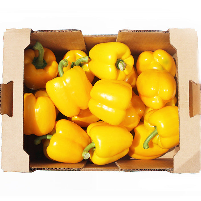 Yellow Bell Pepper
