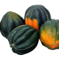 Squash Acorn