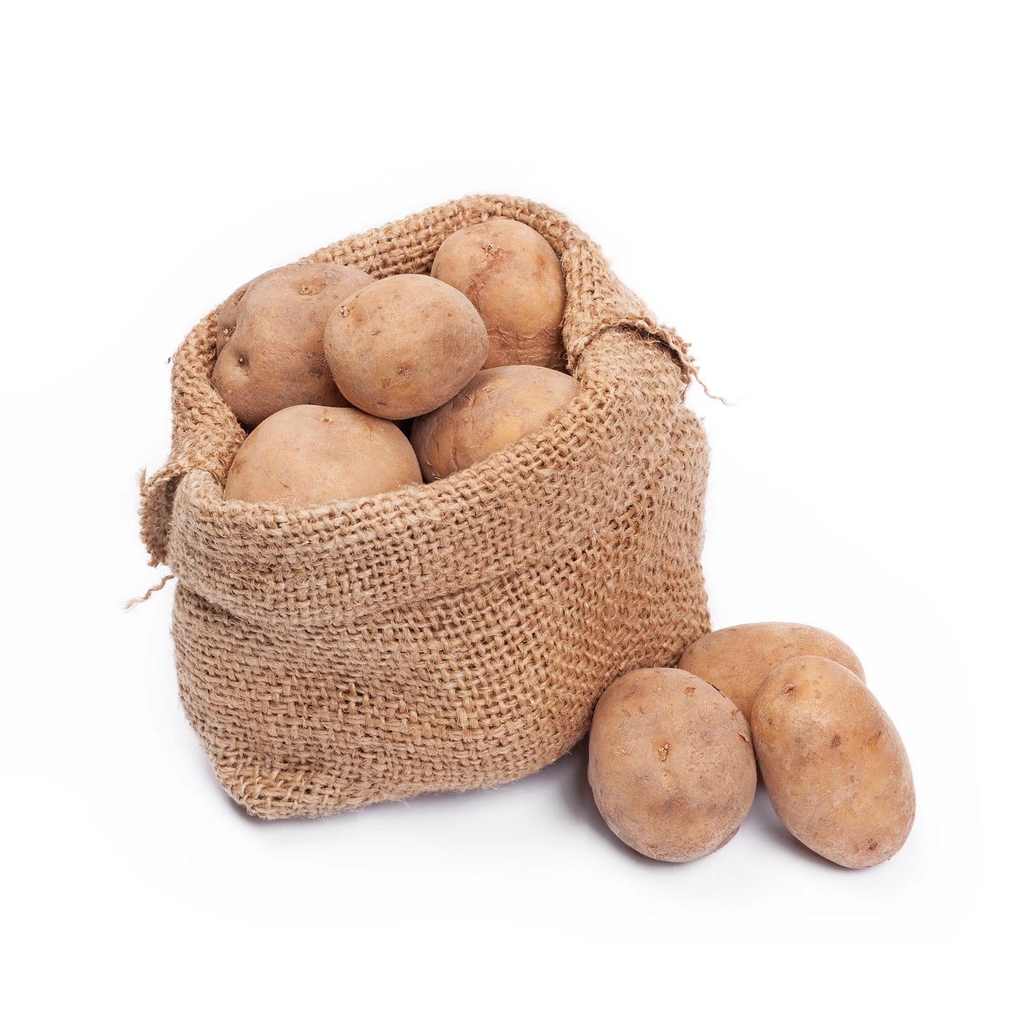 Russet Potato