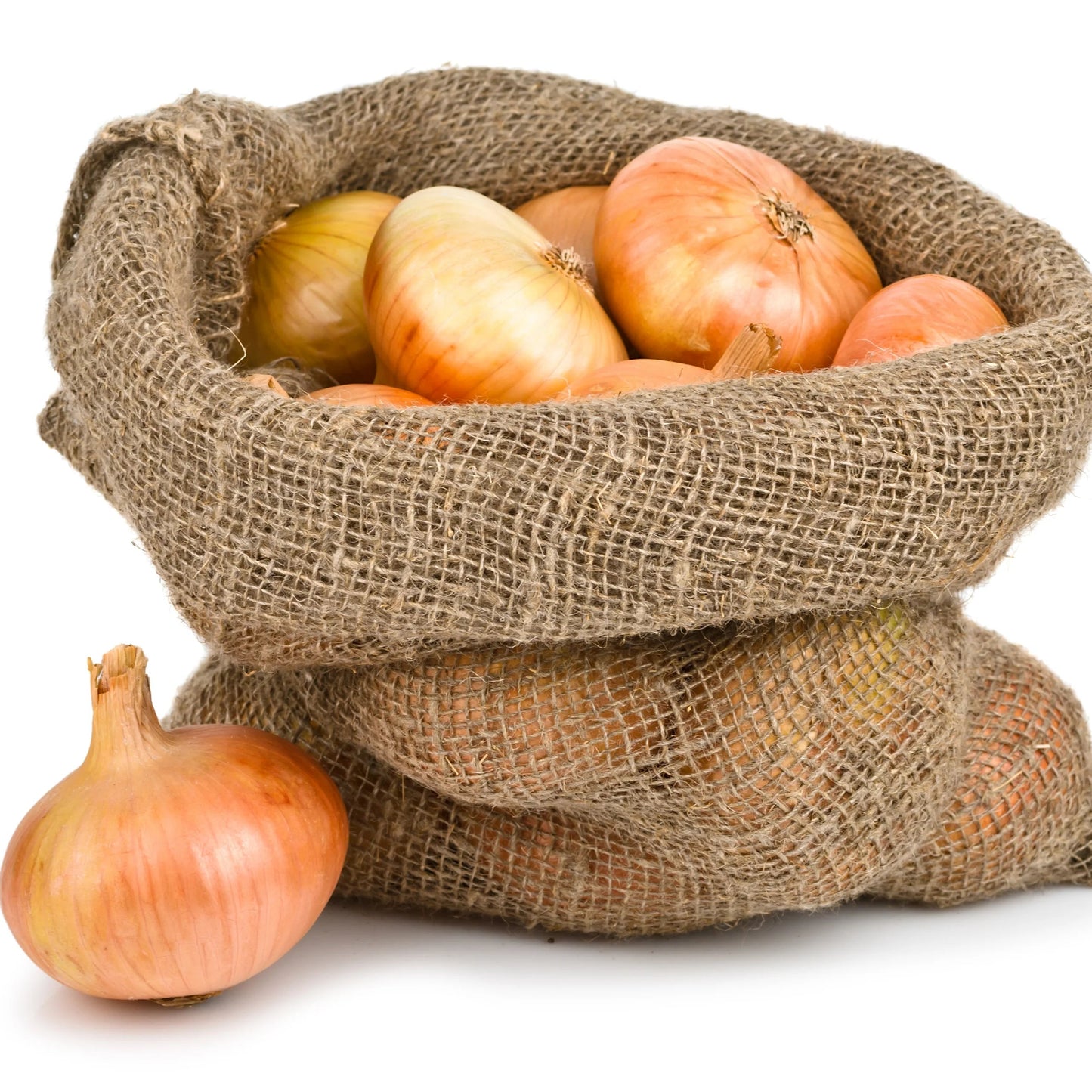 Yellow Onion